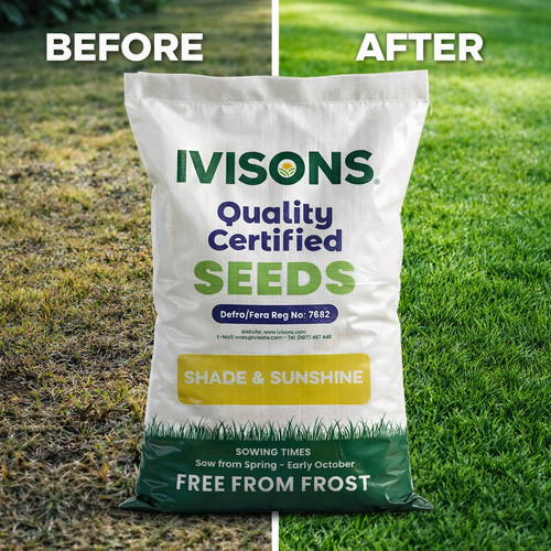 Premium shady area lawn - shady,