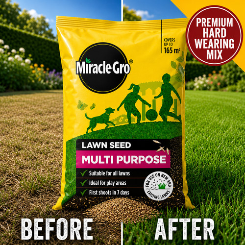 5kg grass seed - 5kg, lawn