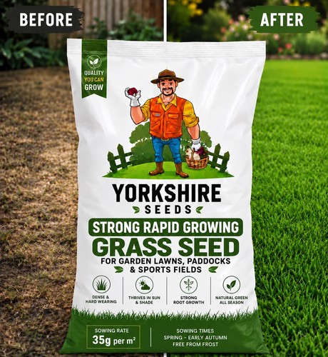 Strong rapid growing grass - strong,