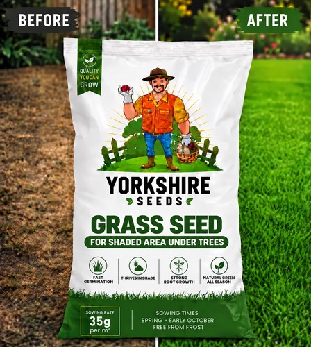 Grass seed for shaded - seed, area