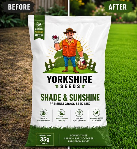 Premium shady area - area, seed