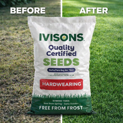 5kg super hard wearing grass - 5kg,
