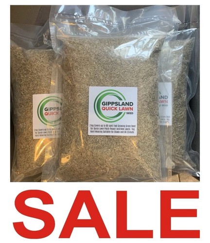 Super fast growing grass - growing, seed