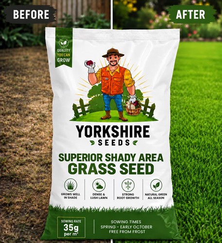 Superior shady area grass - shady, seed