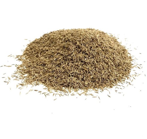 Lawn grass seed - lawn, 2kg