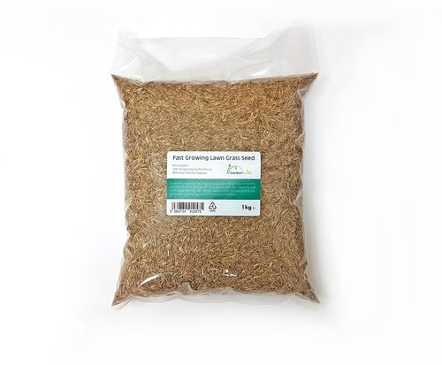 Rapid quick growing lawn - rapid,