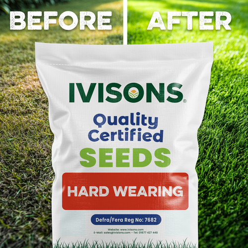 Grass seed hardwearing fast - hardwearing,