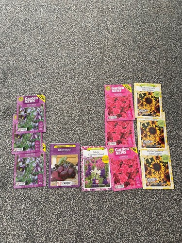 Garden plant flower - , x11