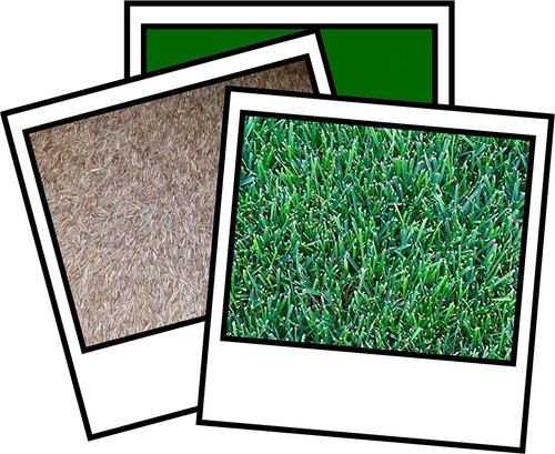 Park blend drought - blend,