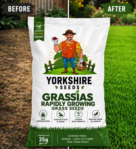 Rapidly growing grass seeds - growing,