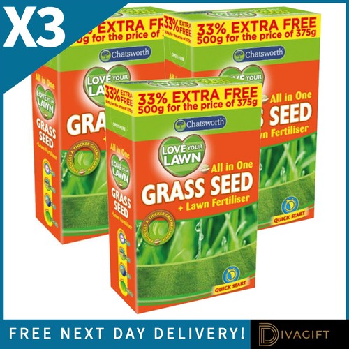 Grass seeds 500g lawn - x,