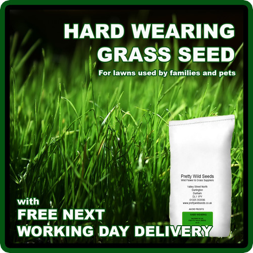 5kg grass seed pro - 5kg,