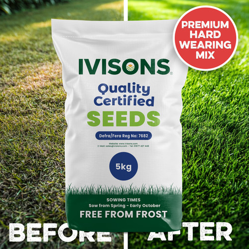 5kg grass seed quality - seed, lawn