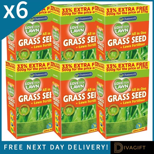 Grass seeds 500g lawn - x,