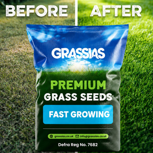Fast growing grass seed - fast, new