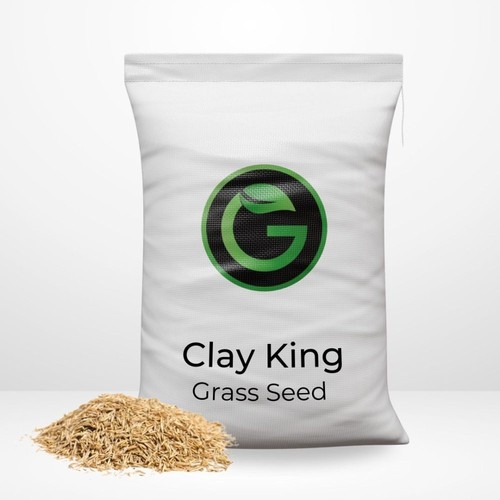 Clay king grass seed - king,
