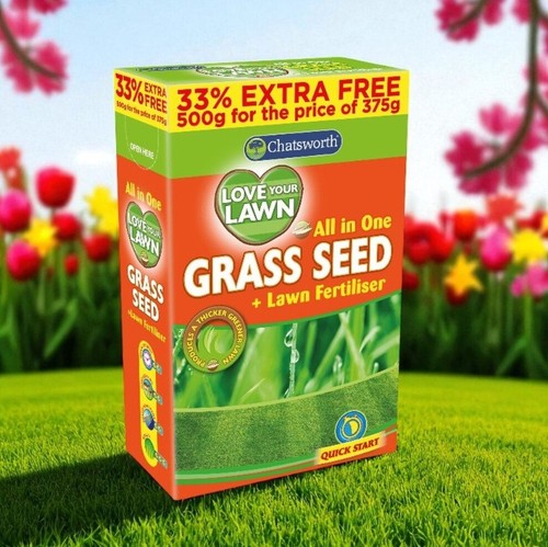 Premium grass seed - grass, fast
