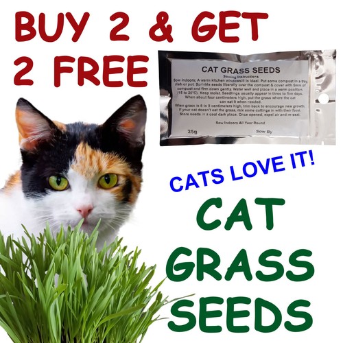 Cat grass seeds 25g - 25g, buy