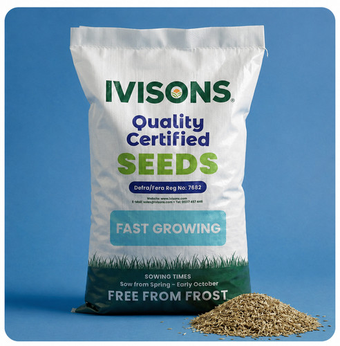 Super fast growing grass - growing, seed