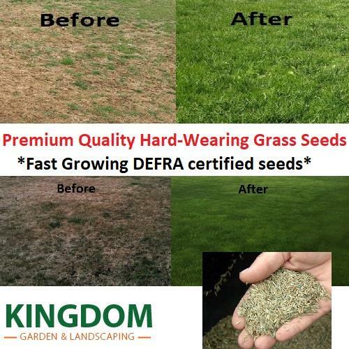 Grass seed hard - hard, lawn