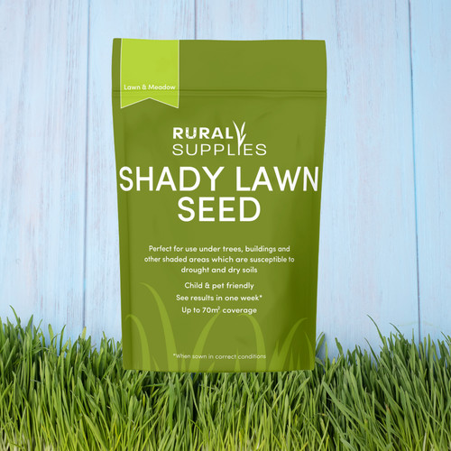 High quality shady area lawn - shady,