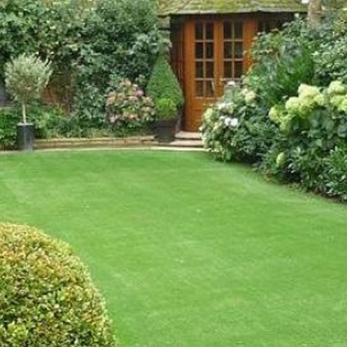 20kg back lawn grass seed - 20kg,