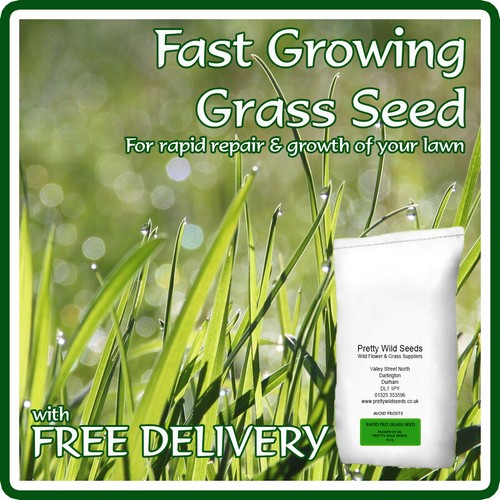 Fast growing lawn grass - fast,