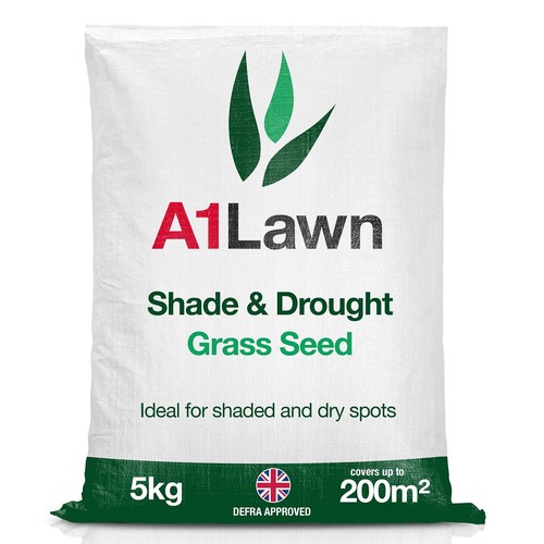 Lawn shade and drought - a1,